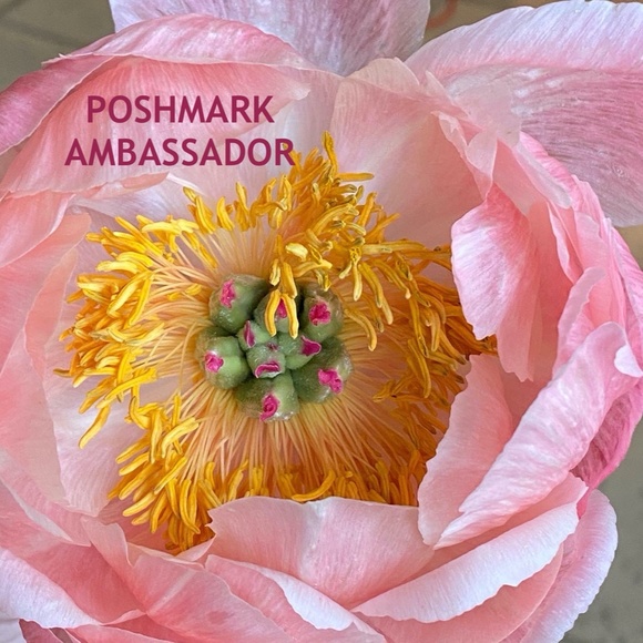 Meet your Posher, Kay - Picture 1 of 2